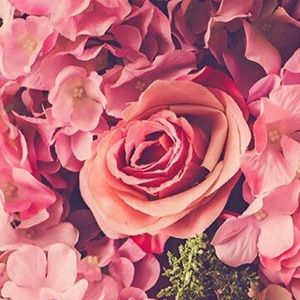 Meet your Posher, Grace